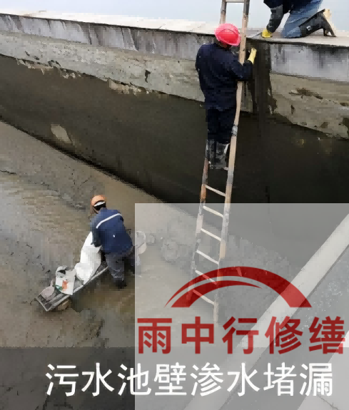 济源2026年防水龙头半月两次涨价，行业格局重塑信号